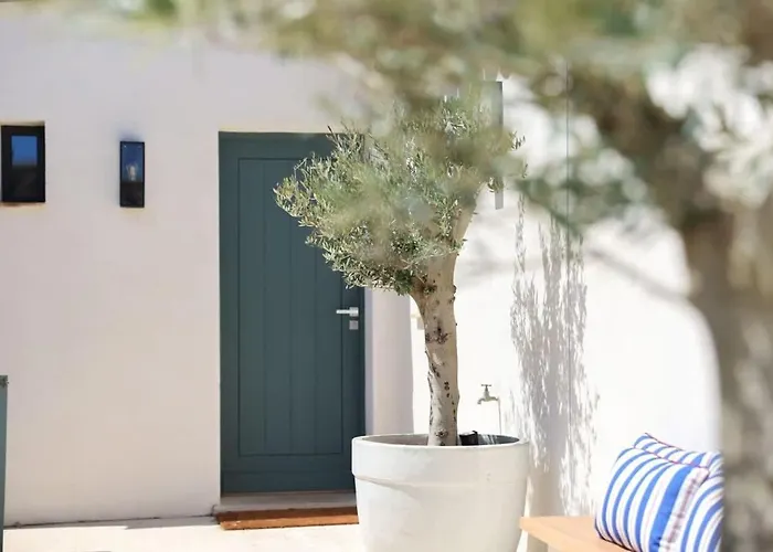 32 L Sport Court & Pool L Shellter 别墅 圣马克西姆